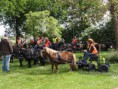 /album/menrit-02-06-2014/grotefoto-u6maxpyh-kopie-jpg/